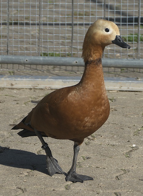 赛场